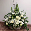 White Sympathy