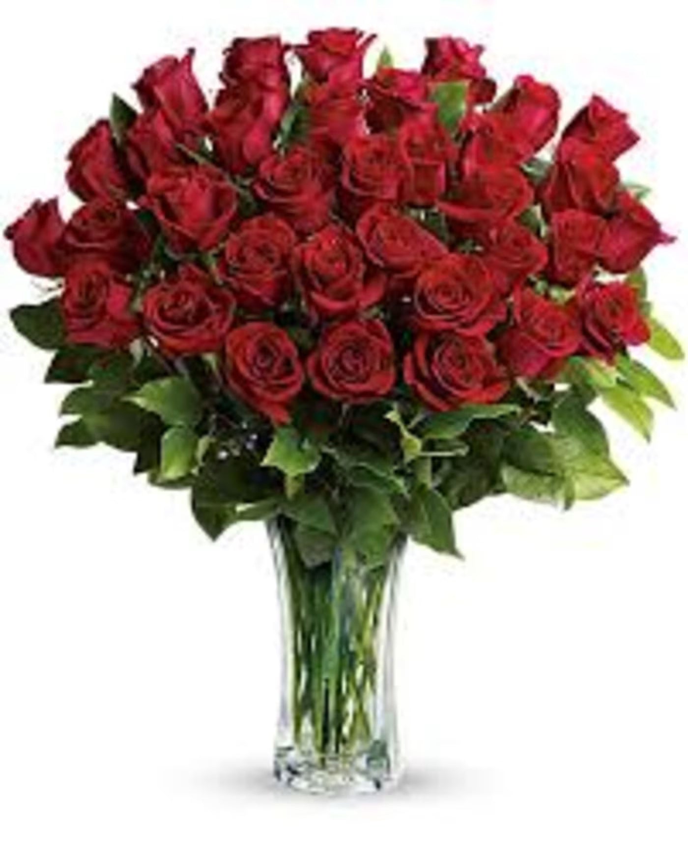 Three Dozen Roses