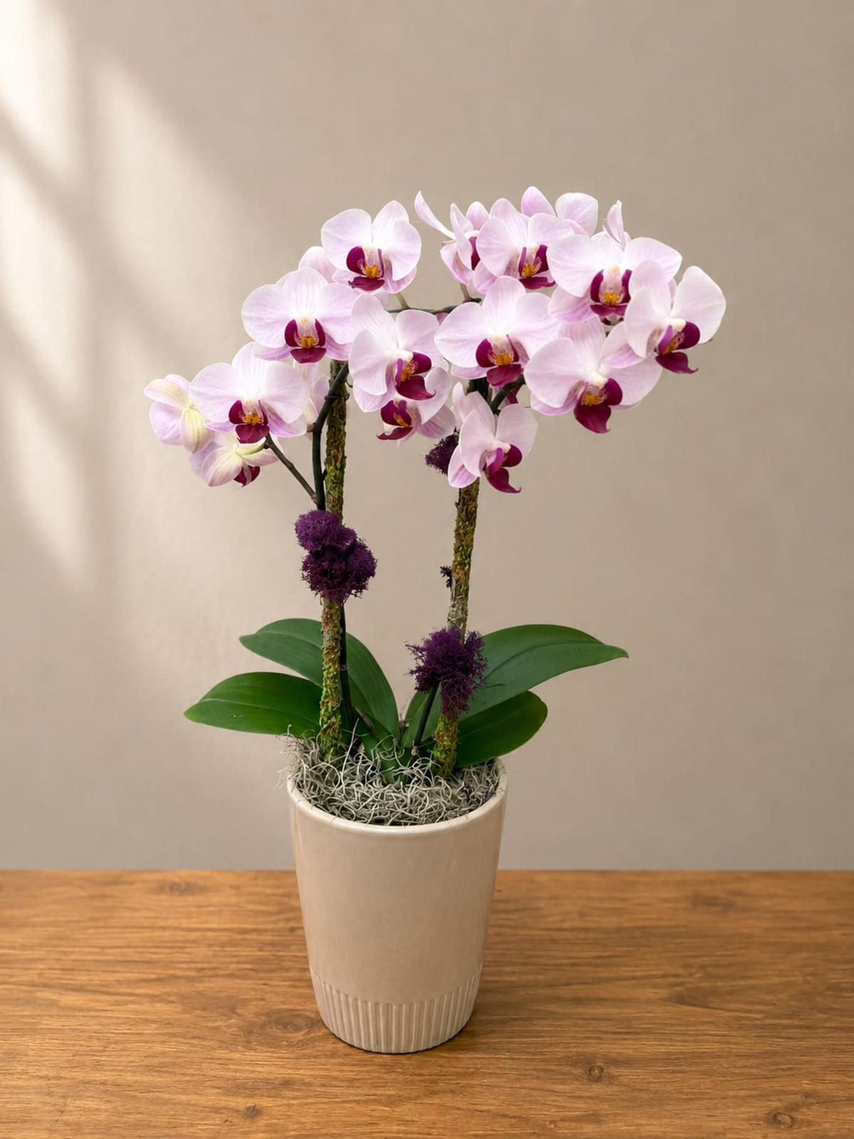 Spotted Orchid Elegance
